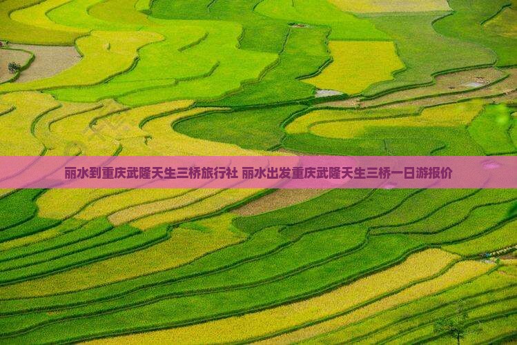 丽水到重庆武隆天生三桥旅行社