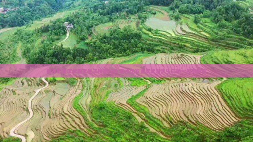 丽水到重庆武隆天生三桥旅行社