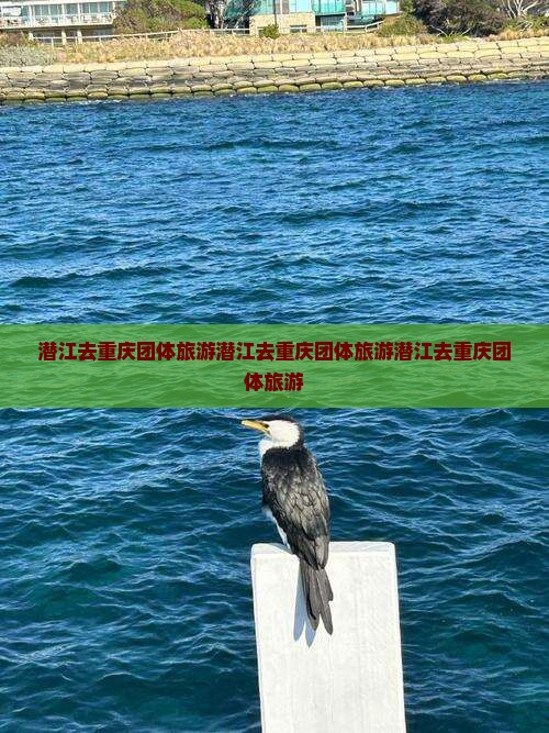 潜江去重庆团体旅游