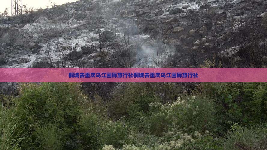 桐城去重庆乌江画廊旅行社