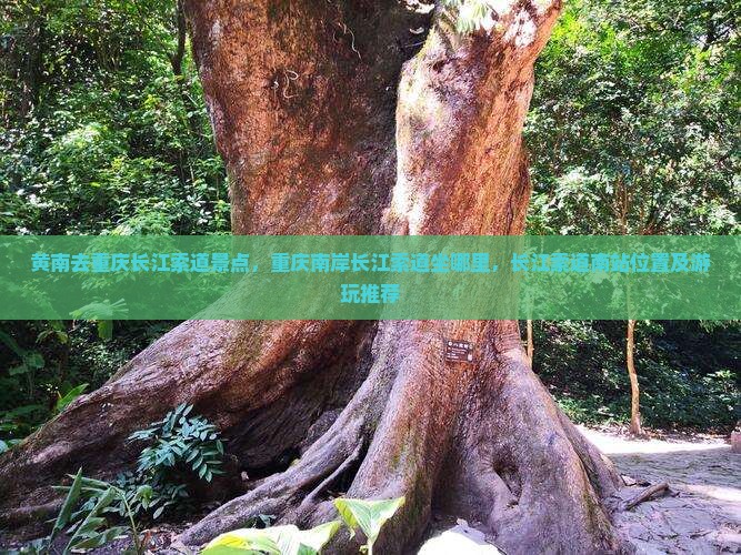 黄南去重庆长江索道景点