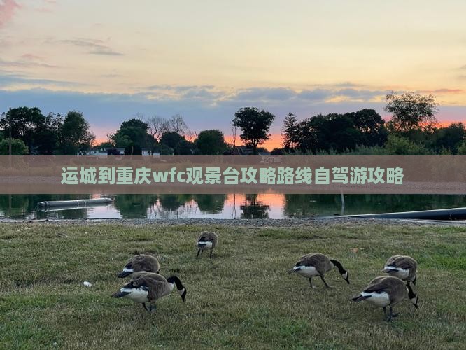 运城到重庆wfc观景台攻略