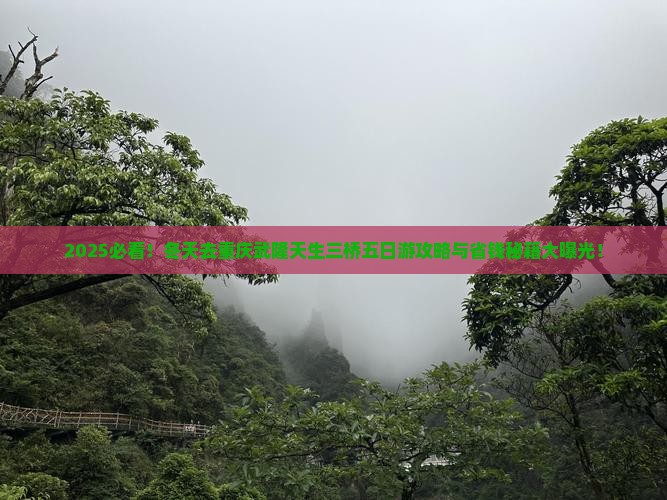 冬天去重庆武隆天生三桥五日游