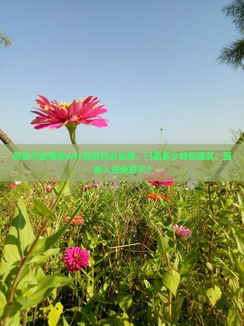 劳动节去重庆wfc观景台必去地 劳动节去重庆wfc观景台必去地