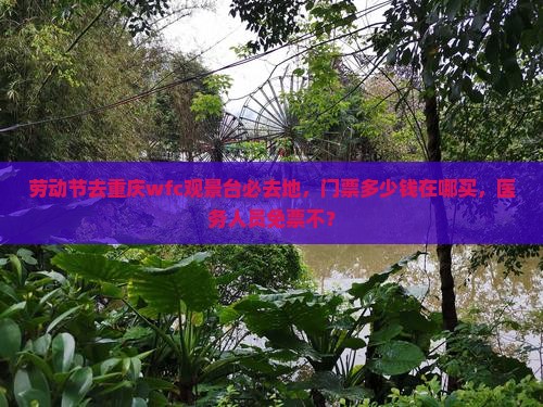 劳动节去重庆wfc观景台必去地 劳动节去重庆wfc观景台必去地