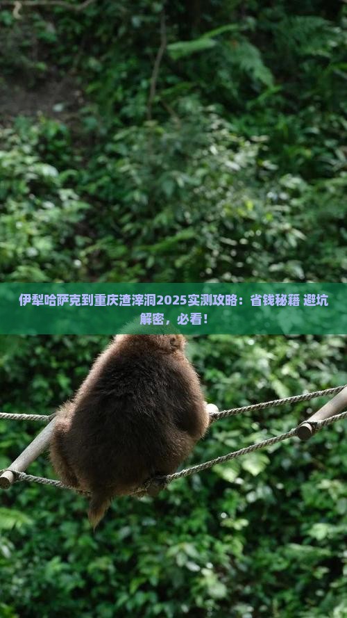 伊犁哈萨克到重庆渣滓洞攻略