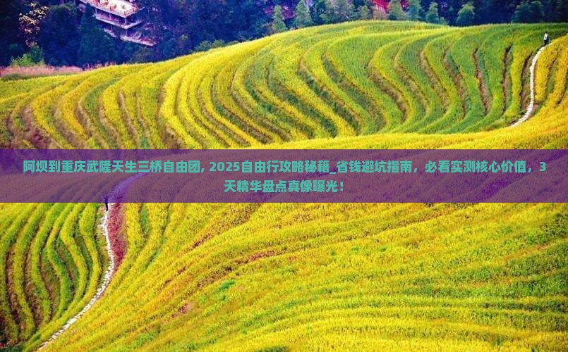 阿坝到重庆武隆天生三桥自由团