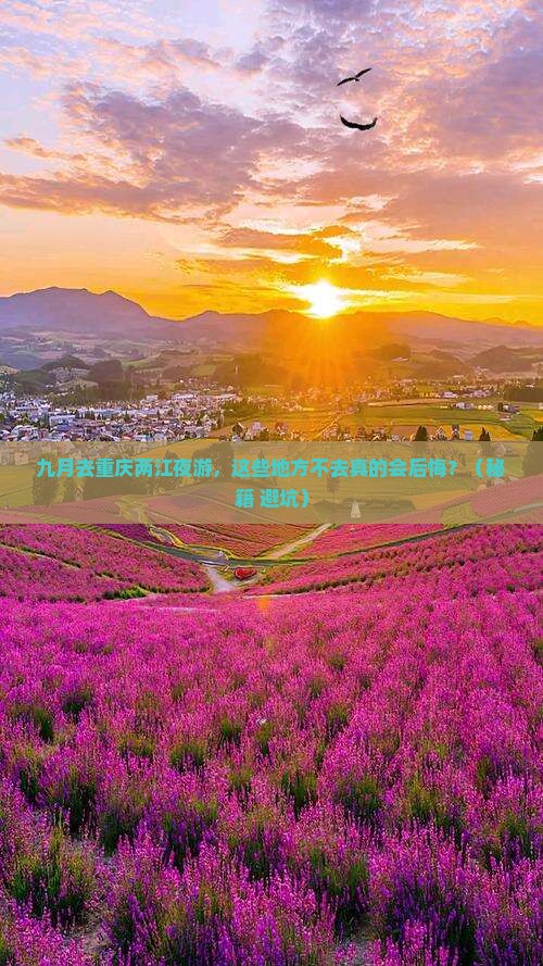 九月到重庆两江夜游必去地