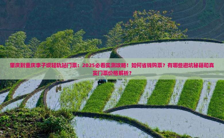 肇庆到重庆李子坝轻轨站门票 肇庆到重庆李子坝轻轨站门票