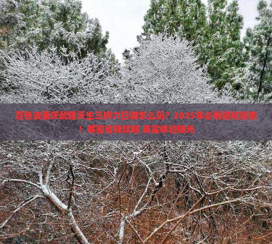 百色去重庆武隆天生三桥六日游