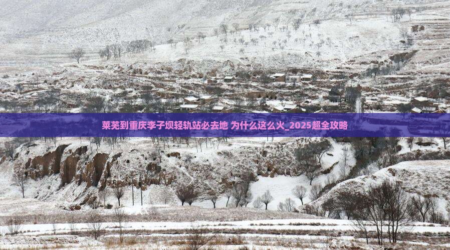 莱芜到重庆李子坝轻轨站必去地