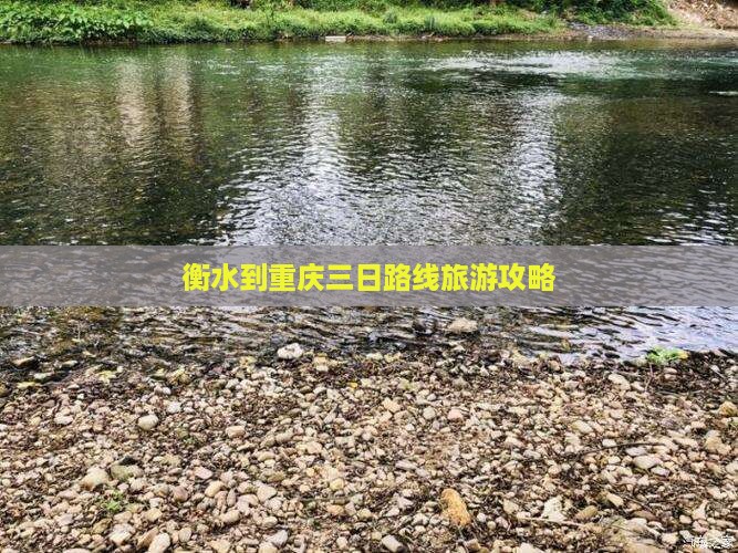 衡水到重庆三日游