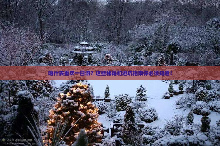 喀什去重庆一日