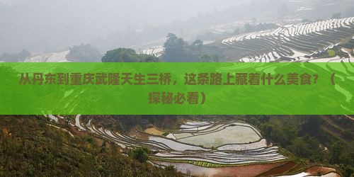 丹东去重庆武隆天生三桥旅游小吃