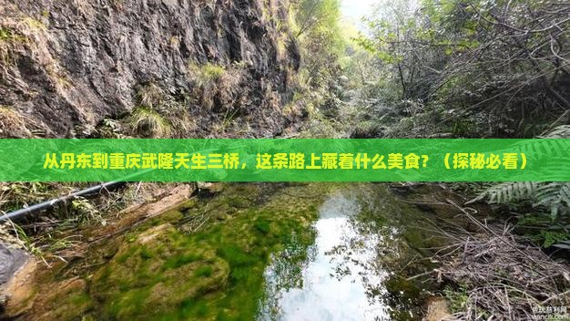 丹东去重庆武隆天生三桥旅游小吃