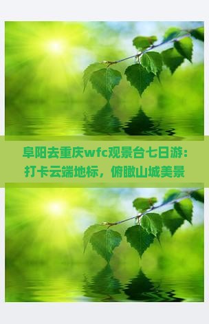 阜阳去重庆wfc观景台七日游