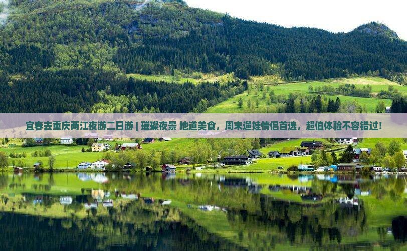 宜春去重庆两江夜游二日游