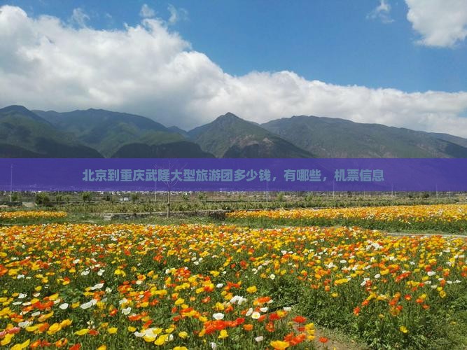 北京到重庆武隆大型旅游团