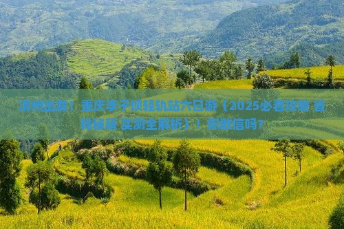 滨州到重庆李子坝轻轨站六日游