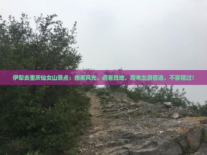 伊犁去重庆仙女山景点