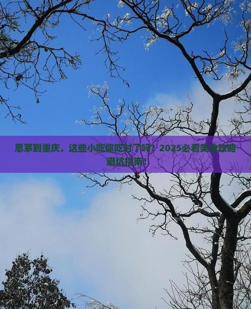 思茅到重庆旅游小吃