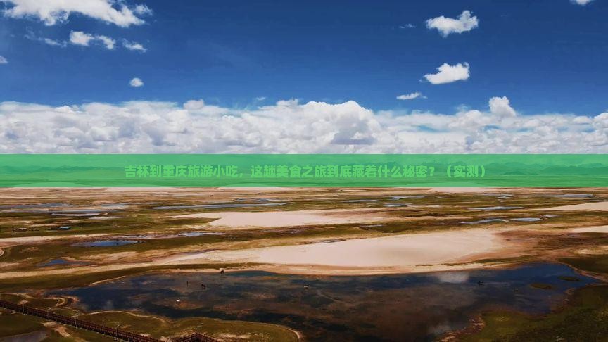 吉林到重庆旅游小吃
