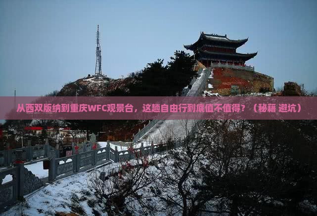 西双版纳去重庆wfc观景台自由行