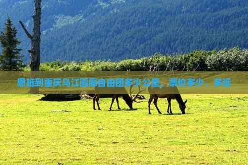 恩施到重庆乌江画廊自由团