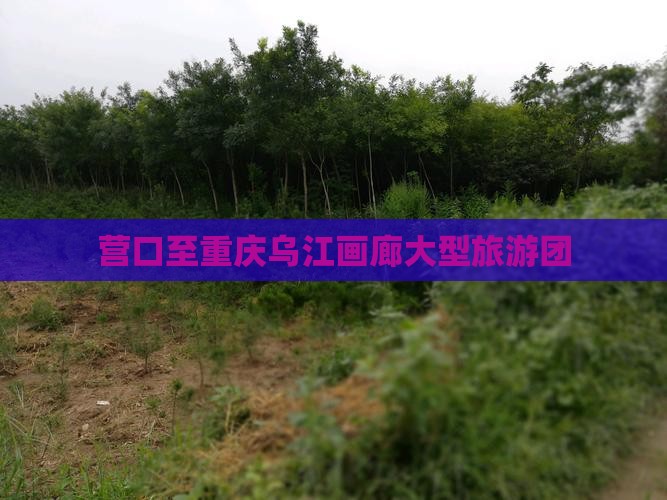 营口到重庆乌江画廊大型旅游团