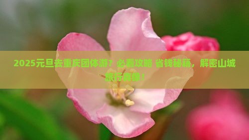 元旦到重庆团体旅游