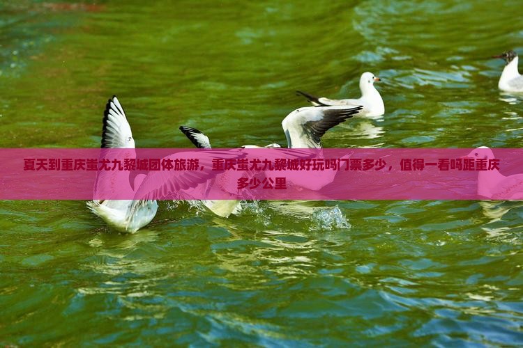 夏天到重庆蚩尤九黎城团体旅游