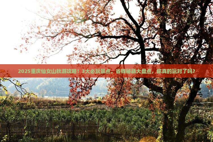 秋天到重庆仙女山哪里玩