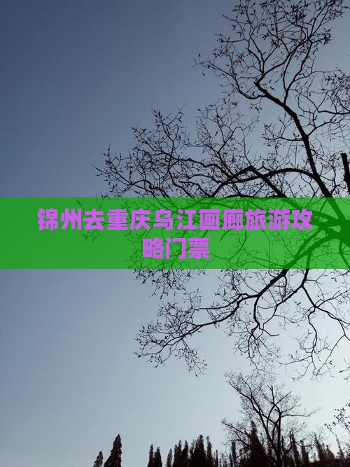 锦州去重庆乌江画廊门票