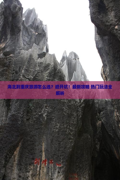 海北到重庆旅行社
