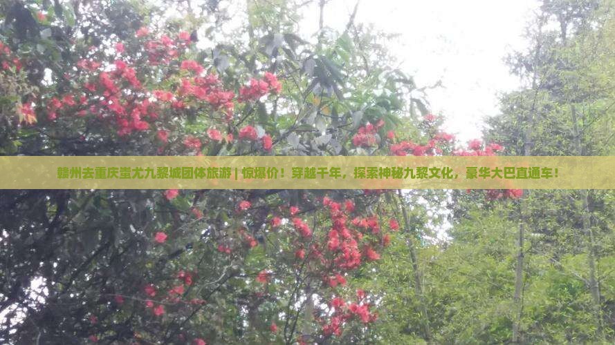 赣州去重庆蚩尤九黎城团体旅游