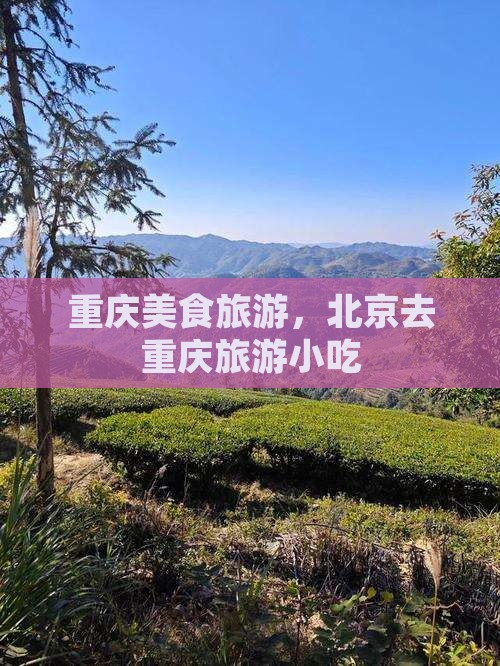 北京去重庆旅游小吃