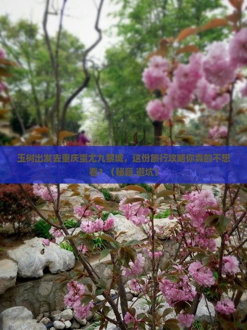 玉树去重庆蚩尤九黎城团体旅游