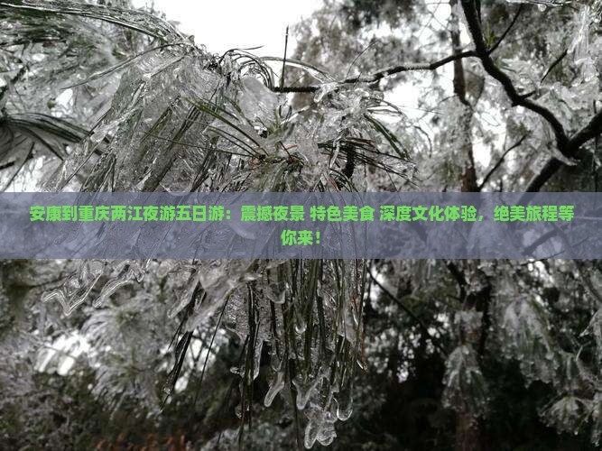 安康到重庆两江夜游五日游