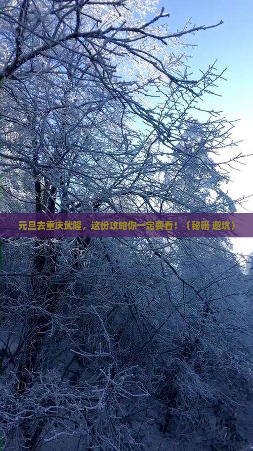 元旦到重庆武隆攻略
