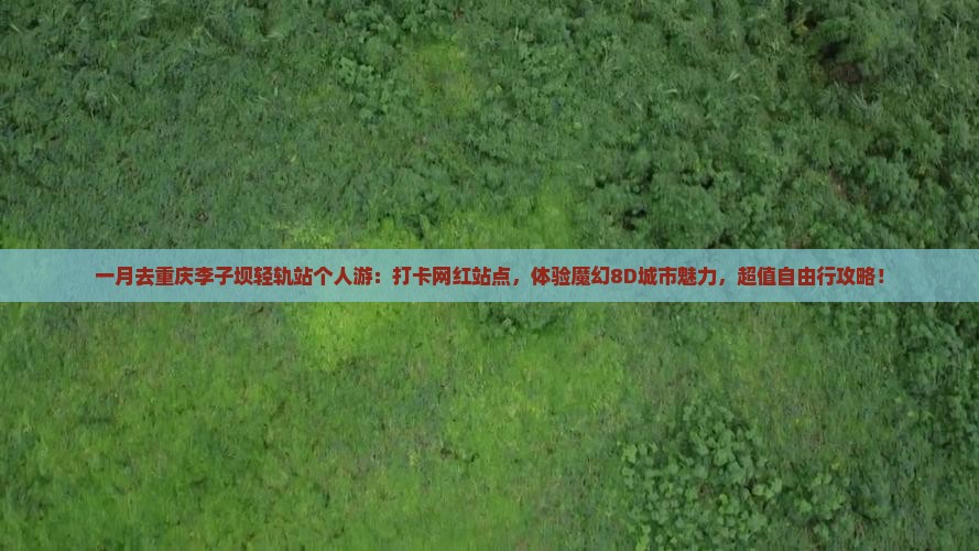 一月去重庆李子坝轻轨站个人游