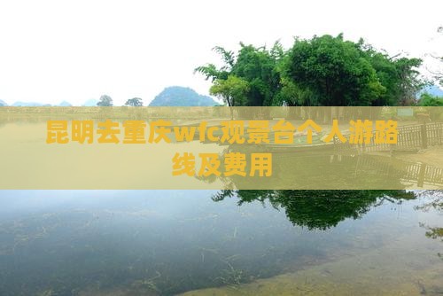 昆明去重庆wfc观景台个人游
