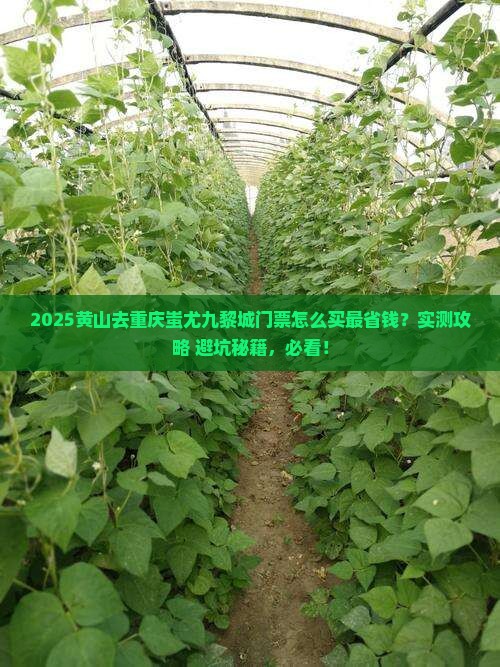 黄山去重庆蚩尤九黎城门票