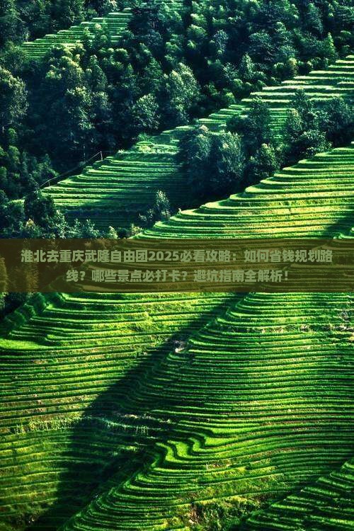 淮北去重庆武隆自由团