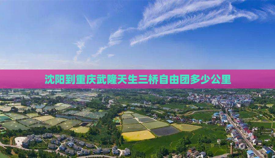 沈阳到重庆武隆天生三桥自由团