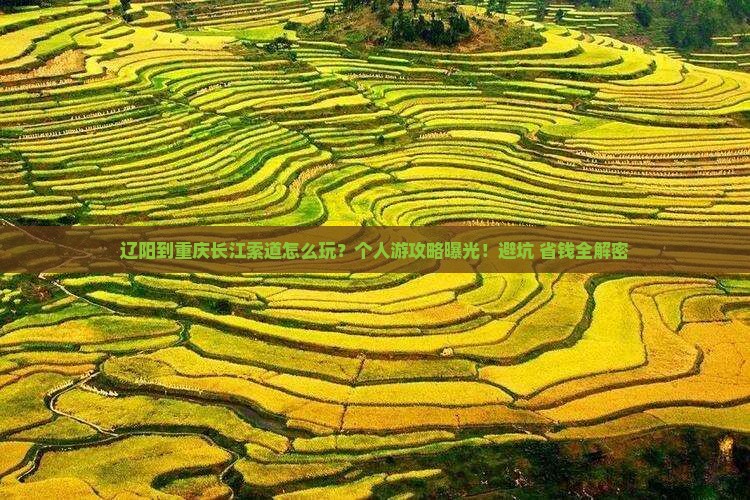 辽阳到重庆长江索道个人游