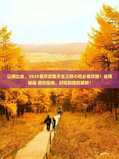 山南到重庆武隆天生三桥旅游小吃