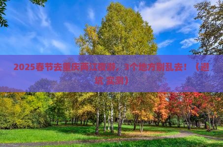 春节到重庆两江夜游攻略 春节到重庆两江夜游攻略