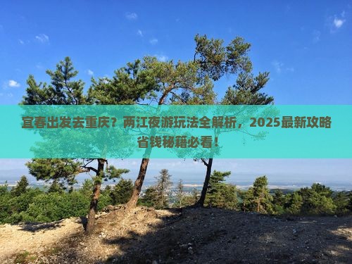 宜春去重庆两江夜游哪里玩