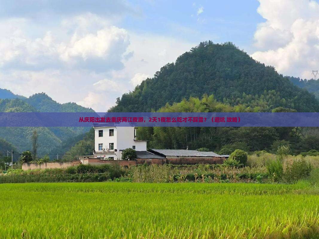 庆阳去重庆两江夜游旅游小吃