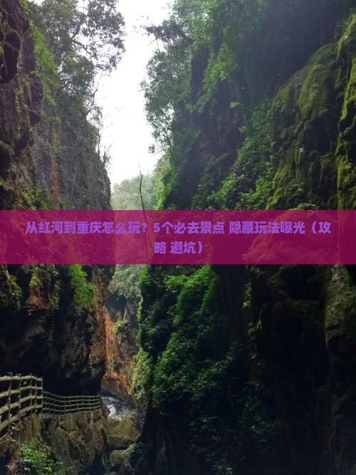 红河去重庆哪里玩